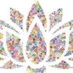 Lotusbloem, bron van inspiratie